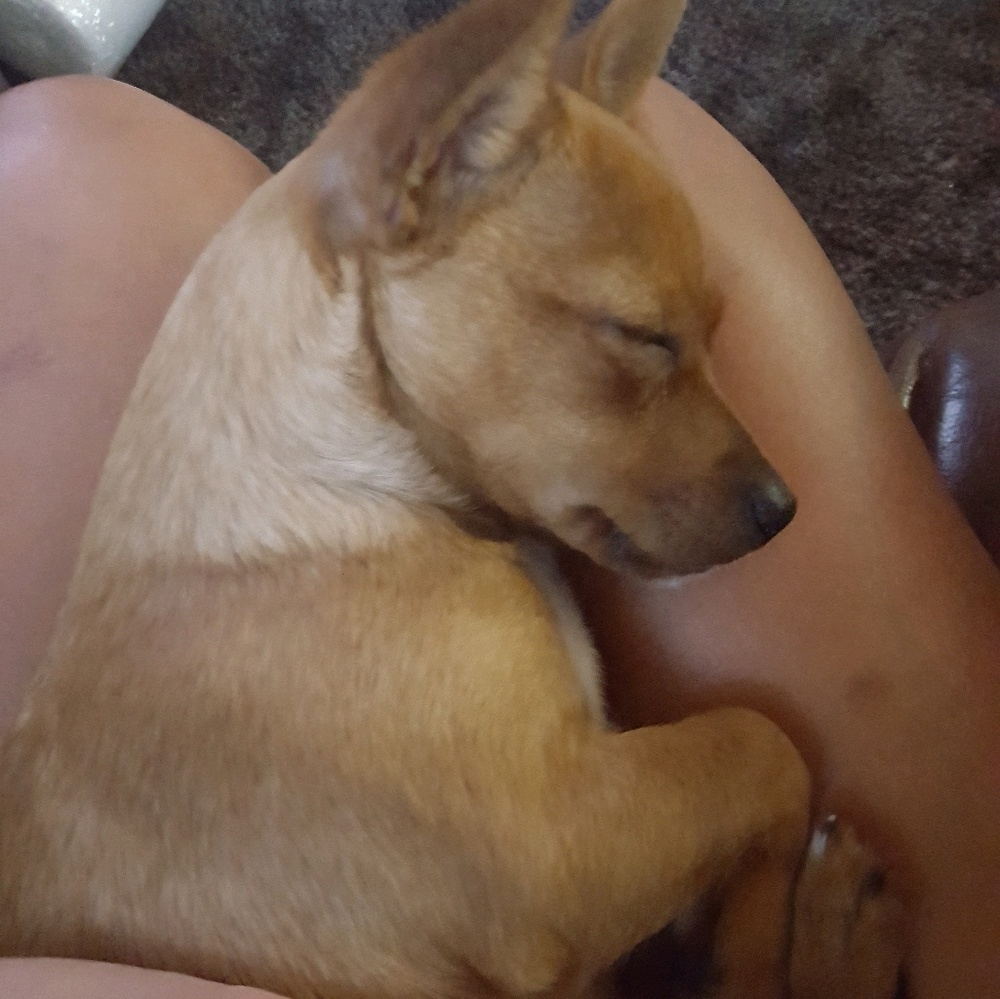 Meet your Posher, Rachel